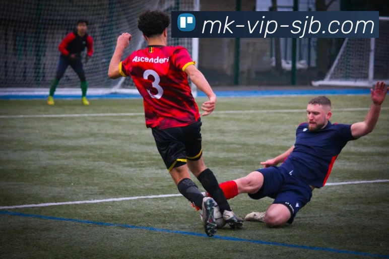 MK体育，MK体育官网，MK体育入口，MK体育APP，MK体育平台平台生态图